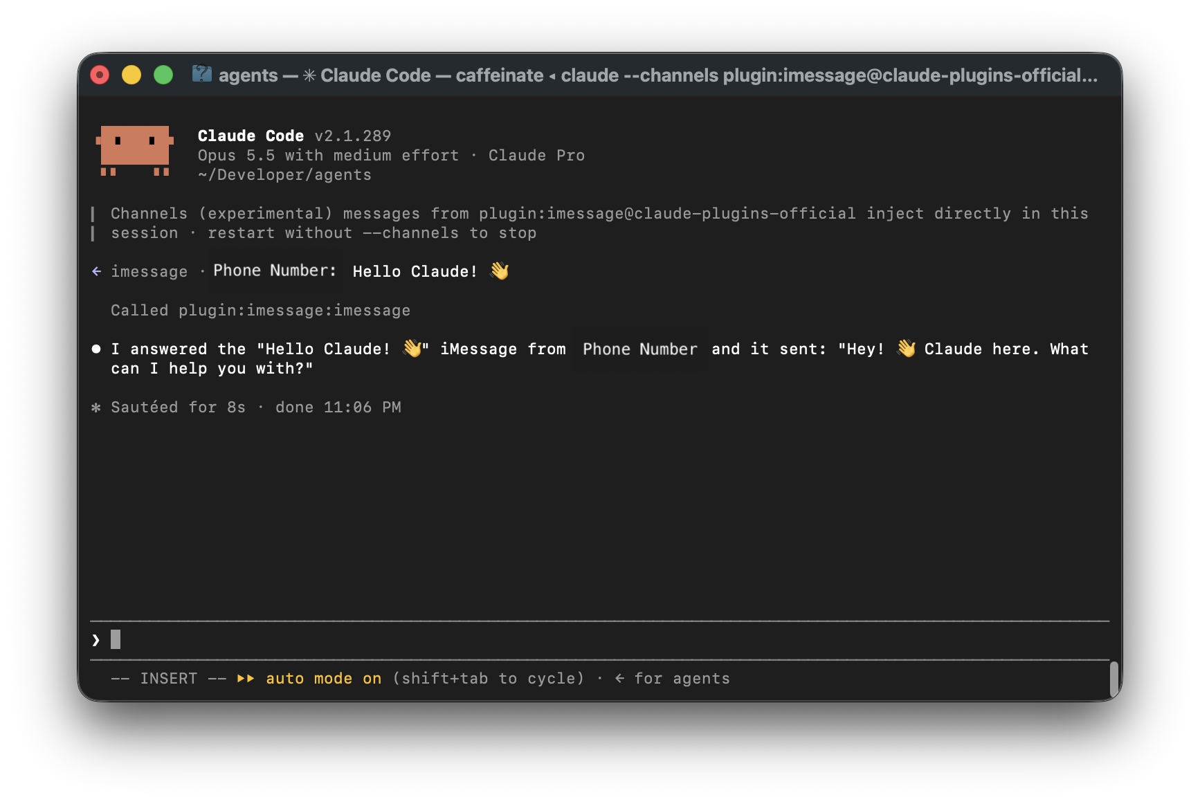 Claude Code terminal session receiving the iMessage and replying