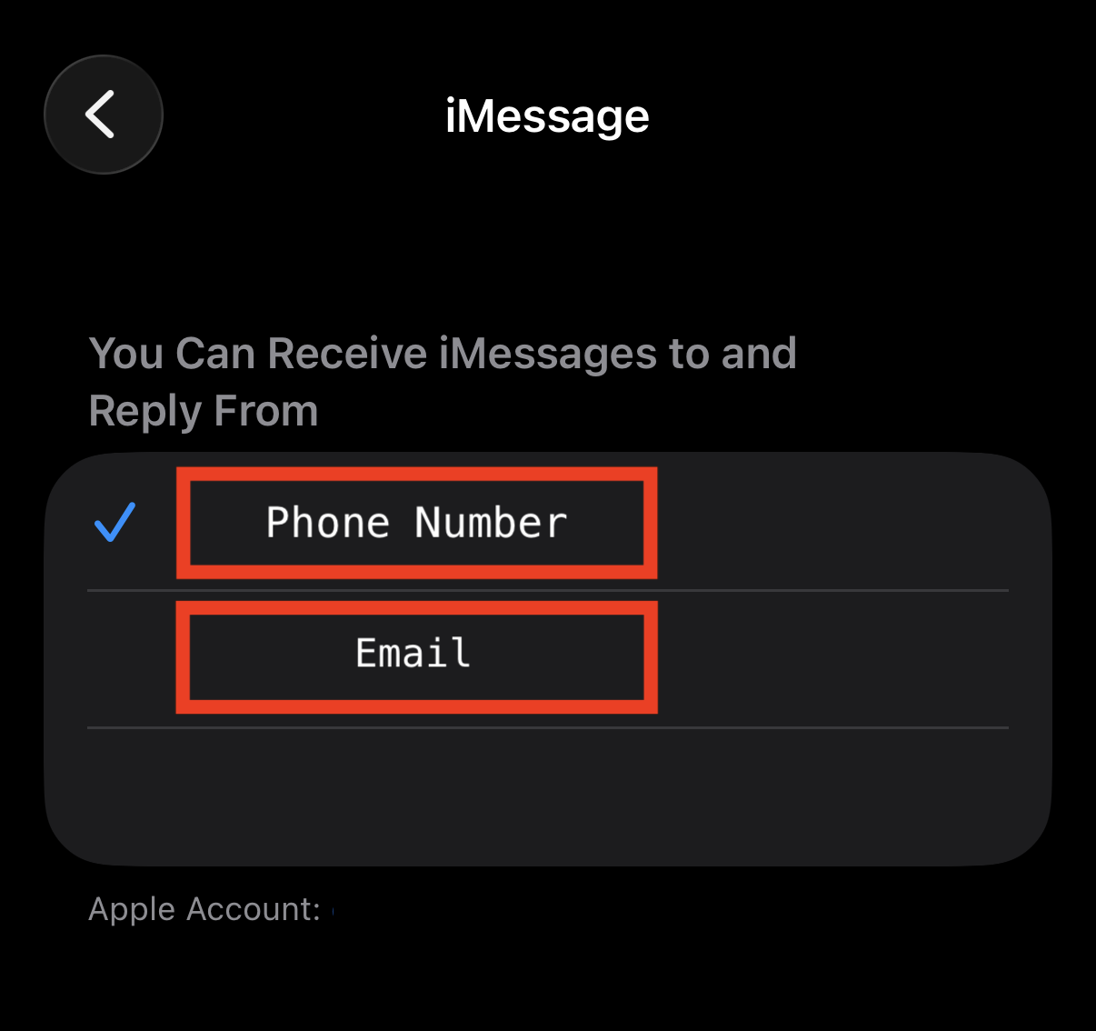 iPhone Send & Receive settings with only the phone number checked